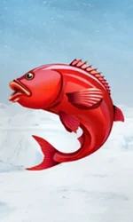 Ice Fishing